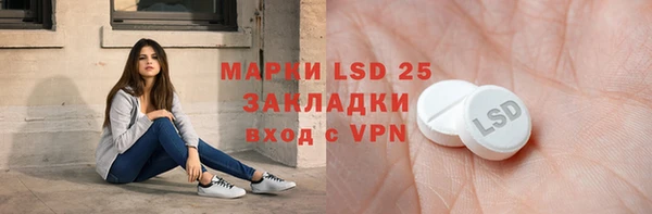 сатива Зерноград