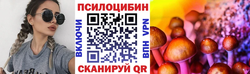 Галлюциногенные грибы GOLDEN TEACHER Иноземцево